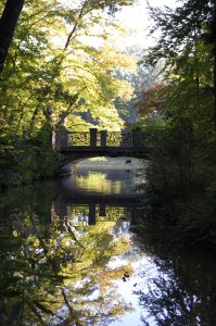Brücken-Auge im Spiegelblick der Nymphenburger Schlosspark-Kanäle
